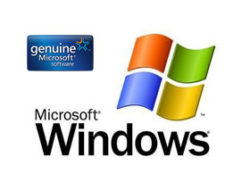 Microsoft Windows Logo